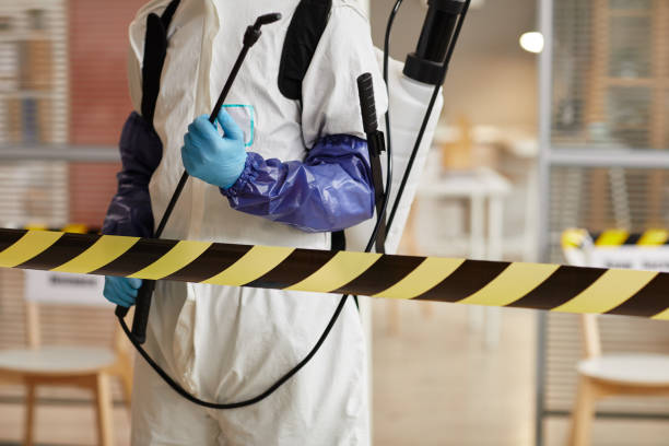 Professional Hoarding Cleanup technician working in London, AR