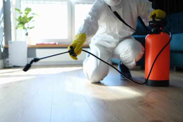 Reliable Hoarding Cleanup contractor in London, AR by Dulley Family Biohazard Services